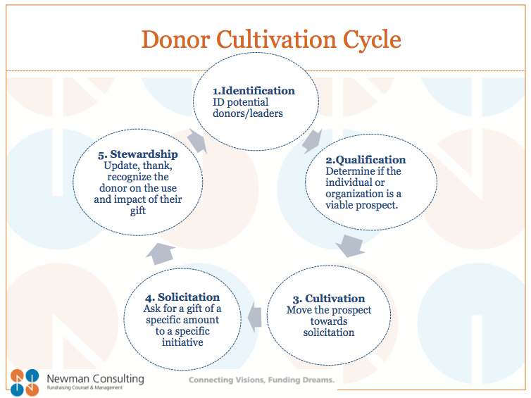 the-5-phases-of-the-donor-cultivation-cycle-newman-consulting